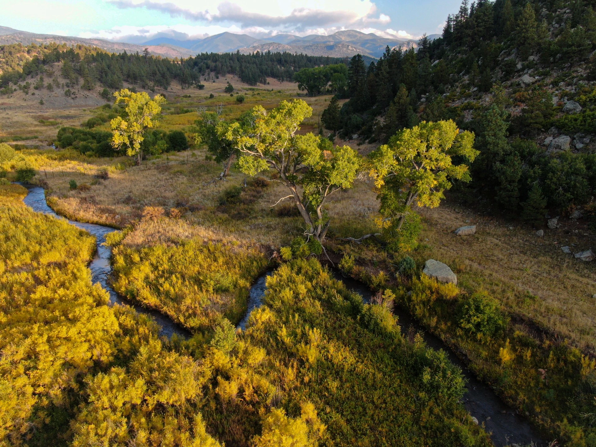 ver_riparian_restoration_benclark-resized-6894b41fdeb0b